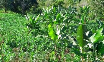 Imagem 4: Chacara em Anicuns - 80 km de Goiânia