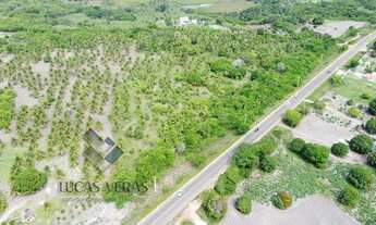 Imagem 6: Vendo 5,5 hectares beira pista vista mar