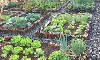 Imagem 7: Sitio Chácara com venda por R$430.000