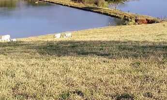 Imagem 5: Excelente Fazenda Histórica em Torrinha, interior de São Paulo