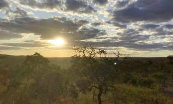 Imagem 3: Vendo lote 5000m² santo Antonio do Descoberto