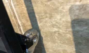 Imagem 2: ARARA DE FERRO ( industrial