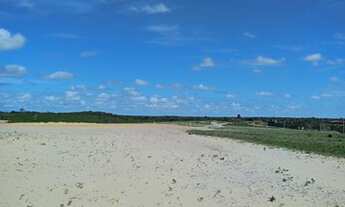 Imagem 3: Loteamento Lagoas Do Giral A 900 Metros Da Praia 2Km Do Centro Paracuru... n°:85