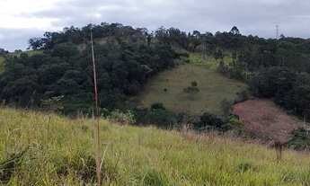 Imagem 2: Terrenos com ótima topografia