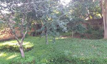 Imagem 5: SãO LEOPOLDO - Casa Padrão - Santa Teresa