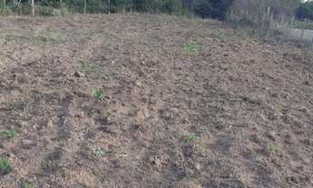 Imagem 5: Santa Maria - Terreno Padrão - Zona rural