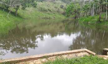 Imagem 8: Fazenda em Nilo Peçanha