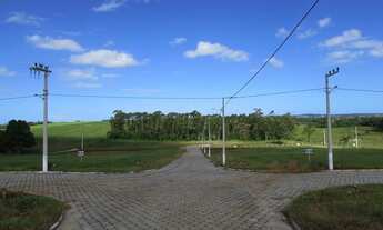 Imagem 3: IÇARA - Terreno Padrão - AURORA