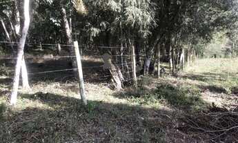 Imagem 2: Chácara para Venda em Centro Bocaiúva do Sul-PR - 549