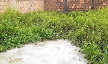 Imagem 4: Terreno na ilha de Vera cruz