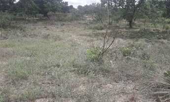 Imagem: TERRENO 25 X 50