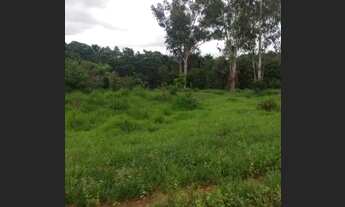 Imagem 3: VENDO FAZENDA Fazenda / sítio com venda por R$700.000