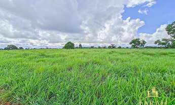 Imagem: Fazenda Município de Flores de Goiás