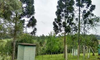 Imagem 2: Sede campestre do CDL de Taió, na localidade de Bracatinga - AREA INDUSTRIAL - Taió-SC