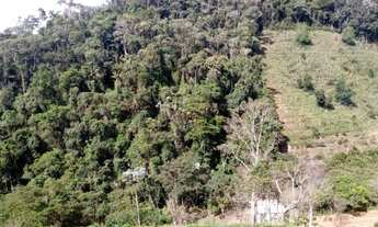 Imagem: Sítio de 2 alqueires com duas casas, mata