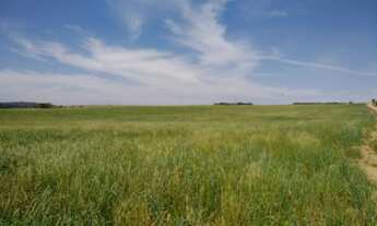 Imagem: Fazenda 79 alqueires, 1.911,52m², ou 190