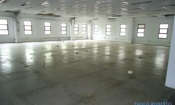 Imagem 5: GALPÃO - BUTANTÃ - SP