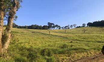Imagem 4: Lote\terreno, não perca a oportunidade de comprar o terreno do seus sonhos, nazaré paulis