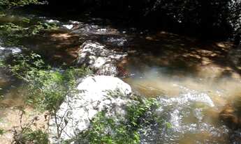 Imagem 7: Excelente sitio no Rincão do Andrade