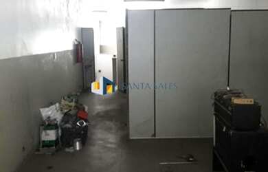 Imagem 5: MARAVILHOSO GALPÃO ACLIMAÇÃO