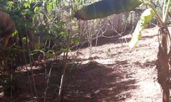 Imagem 5: São Joaquim de Bicas - Residencial Casa Grande- Lote