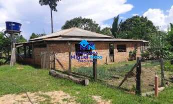 Imagem 2: Vende-se excelente chácara com 2,58 ha à 12 km de Porto Velho