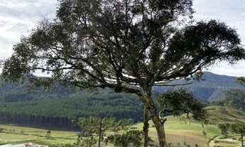 Imagem 7: Belíssimas Chácaras com 2,00 ha Bom Retiro