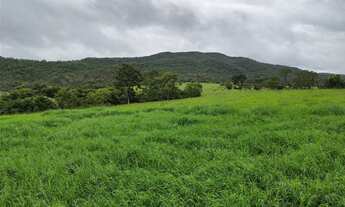 Imagem 2: Fazenda boa para gado