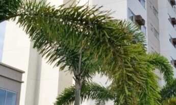 Imagem 3: Costa do forte pronto para morar-7 andar- vista livre- sul- conheça o apt. novo