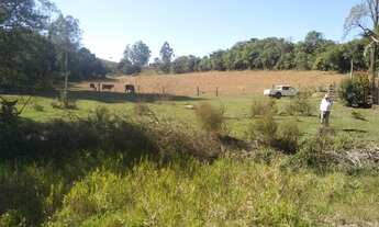 Imagem 5: Sítio com 2 dormitórios à venda, 20000 m² por R$ 250.000 - Zona Rural - Ouro Fino/MG