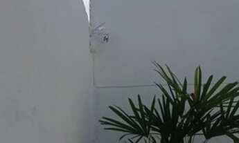 Imagem 3: Peruibe - Casa Padrão - Arpoardor