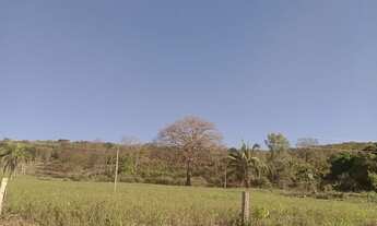 Imagem: Vendo 28 Héctares próximo capão verde