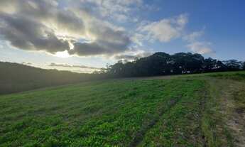Imagem 4: Lote/Terreno para venda possui 600 metros quadrados em Centro - Cotia - SP