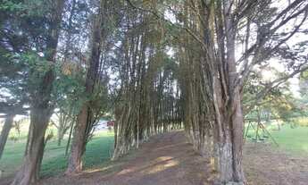 Imagem 3: Terrenos com a oferta Imperdível próximo ao Centro de Ibiúna SP PM