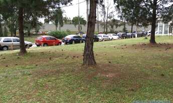 Imagem 5: TERRENO - ALPHAVILLE CONDE I - SP