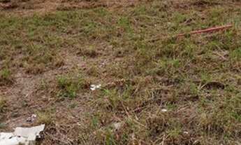 Imagem: TERRENO - JARDIM DAS PALMEIRAS - SP