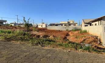 Imagem 5: ICARA - Terreno Padrão - VILA NOVA