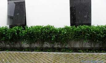 Imagem 3: COMERCIAL - JARDIM PAULISTA - SP