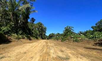 Imagem 2: Fazenda/Sítio/Chácara para venda tem 1000m2