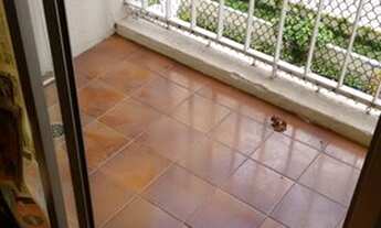 Imagem: APARTAMENTO - CAMPO BELO - SP