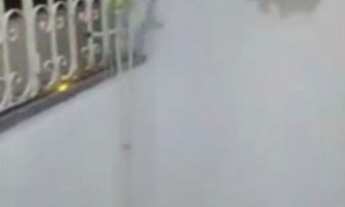 Imagem 5: Vendo apartamento no Luzia