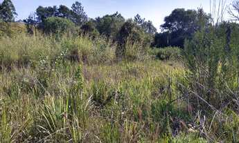 Imagem 3: Terreno para chácara com ESCRITURA, linda nascente Mairiporã