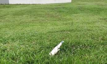 Imagem: Terreno à venda, 505 m² por R$ 850.000,00