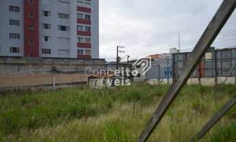 Imagem 7: Terreno - Centro