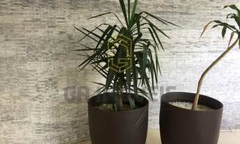 Imagem 3: Apartamento à venda, Ponta Verde, Maceió