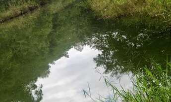 Imagem 5: Terreno para venda tem 1000m² - São Paulo - SP