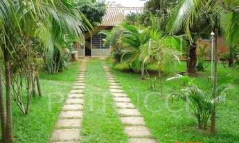 Imagem 2: Chácara - Taquari Ponte - Leme