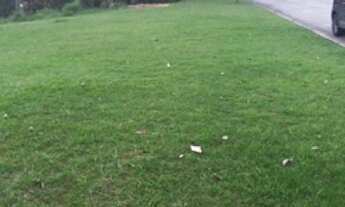 Imagem: TERRENO EM CONDOMÍNIO - RESIDENCIAL TAMBORÉ