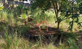 Imagem 3: Chácara à venda Currupira