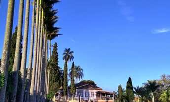 Imagem 4: Excelente Fazenda Histórica em Torrinha, interior de São Paulo